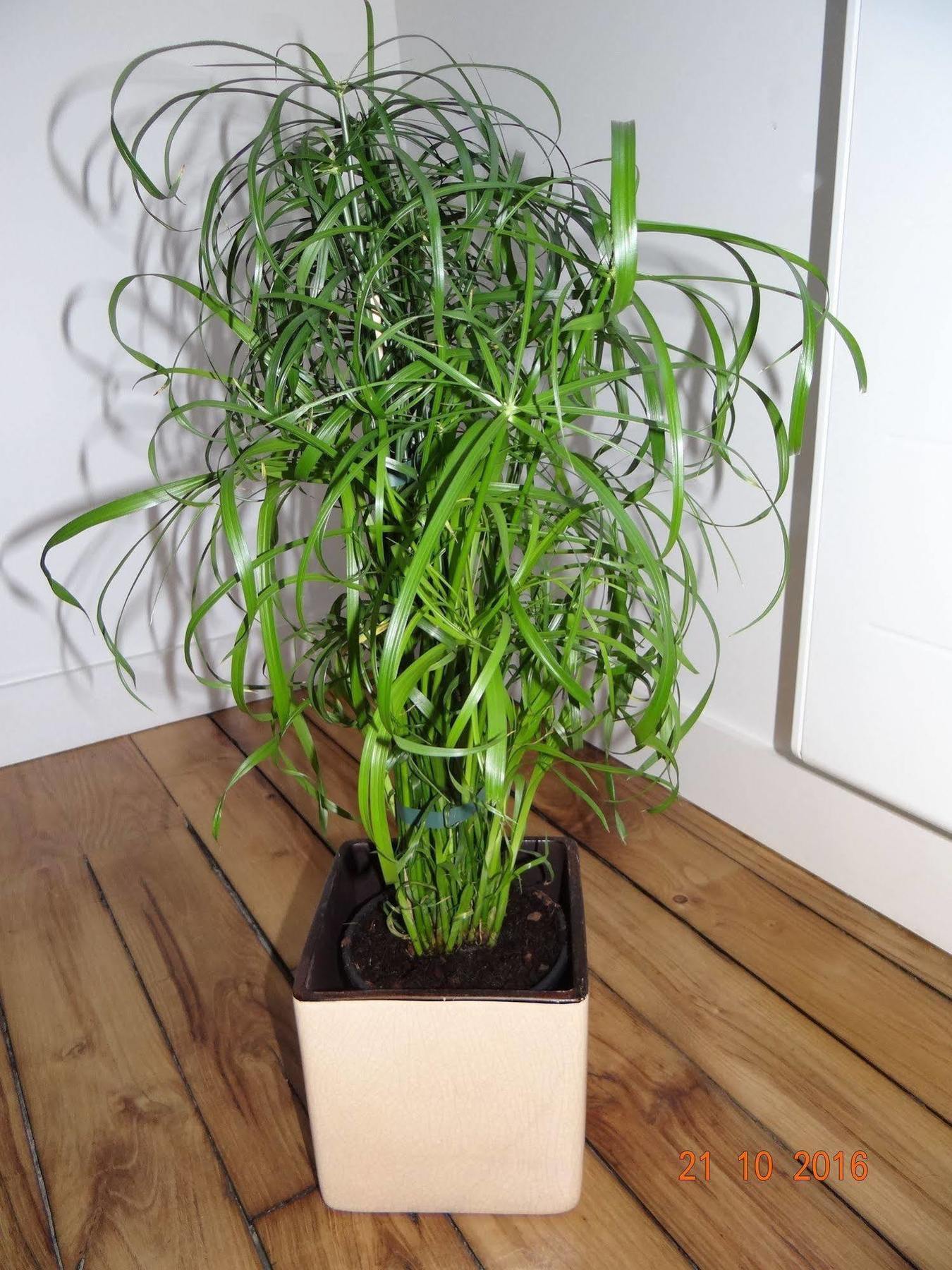 Garden Apparts Rennes Centre Gare Zewnętrze zdjęcie